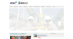 Desktop Screenshot of amec-blackcat.com